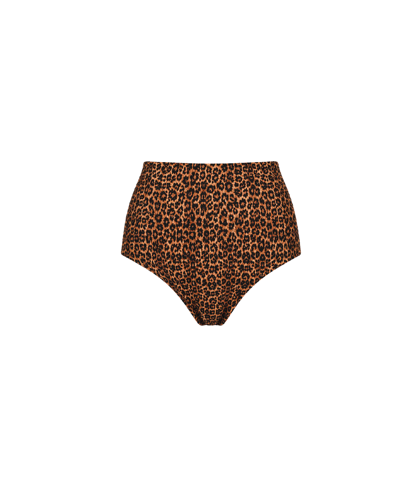 Bottom Banes Leopard