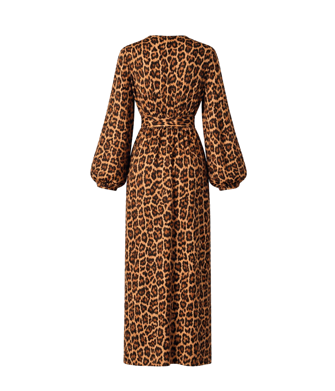Salida Jamaica Leopard